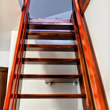 Cost Proprespani Kouty Nad Desnou Loučná nad Desnou